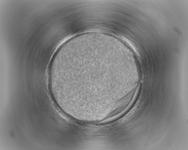 X0000114160854200911191224