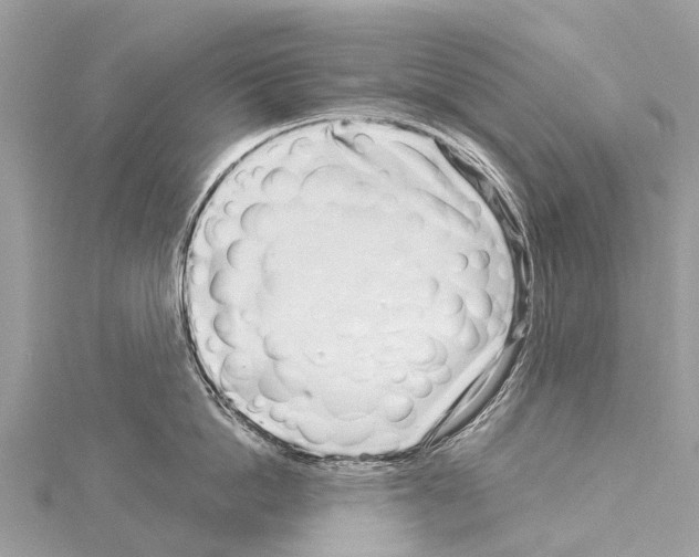 X0000114160862200911191224