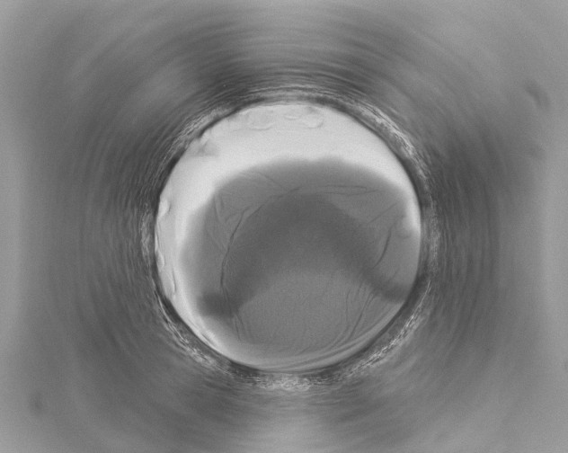X0000114160945200911191222