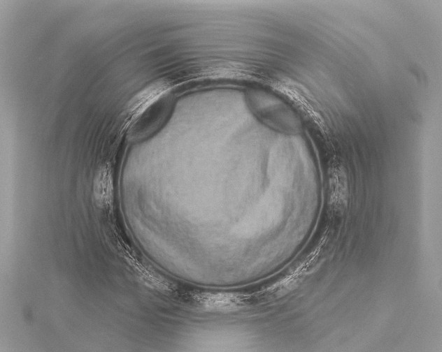 X0000114160969200911191222