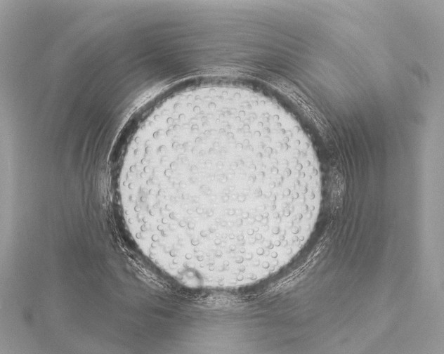 X0000114160974200911191221