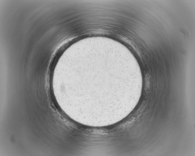 X0000114160979200911191221