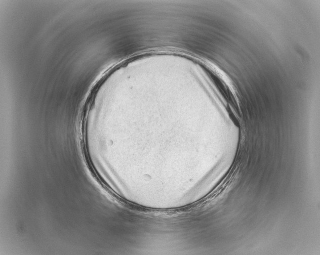X0000114161005200911191221