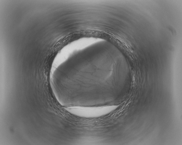 X0000114161013200911191220