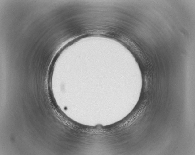 X0000114161020200911191221