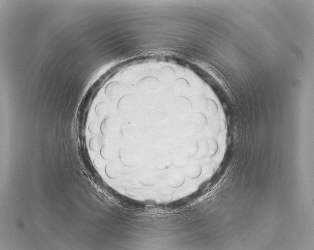 X0000114161022200911191221