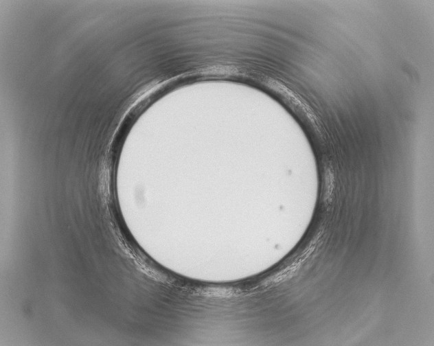 X0000114161029200911191221