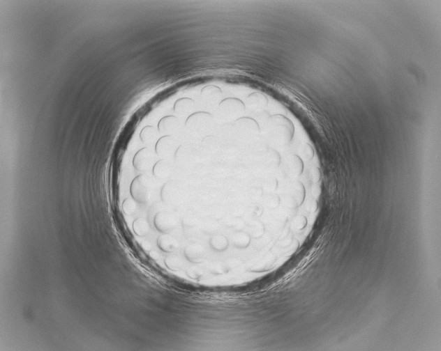 X0000114161030200911191221