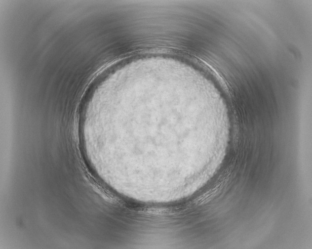 X0000114161035200911191221