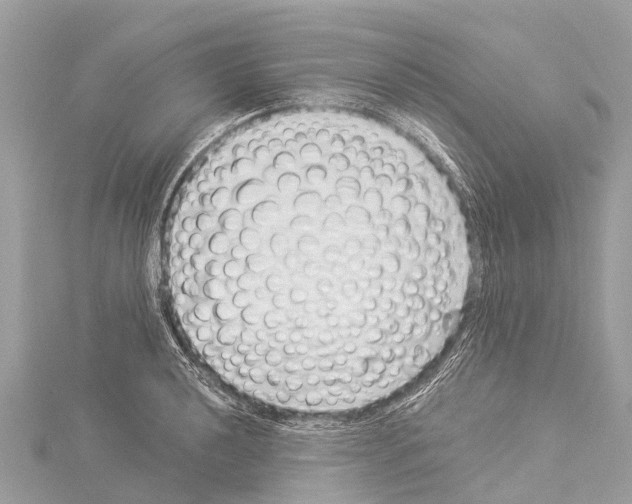X0000114161040200911191221