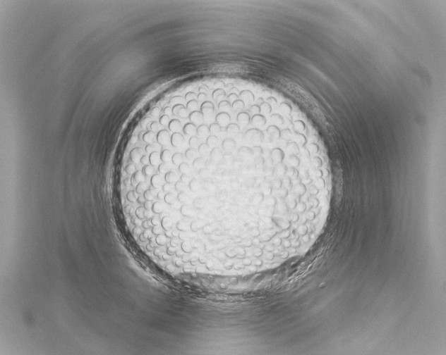 X0000114161044200911191221