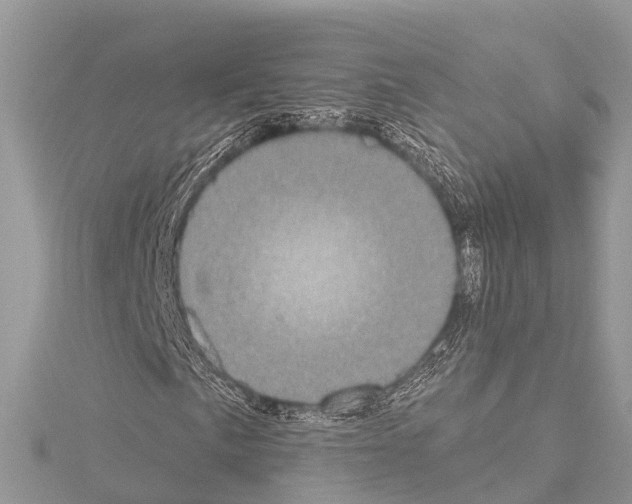 X0000114161057200911191220