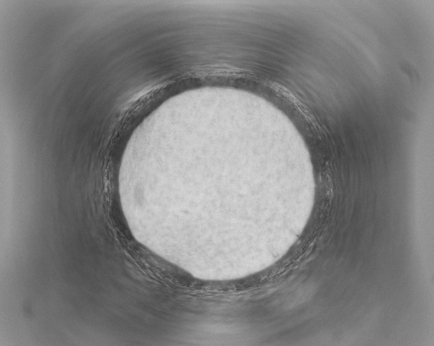 X0000114161063200911191220