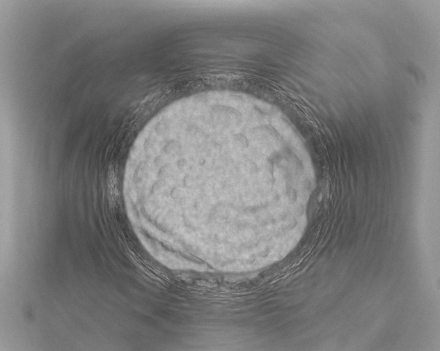 X0000114161106200911191219
