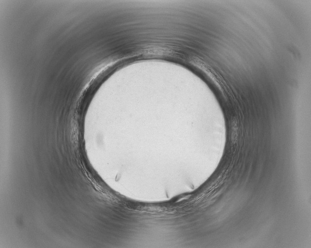 X0000114161115200911191219