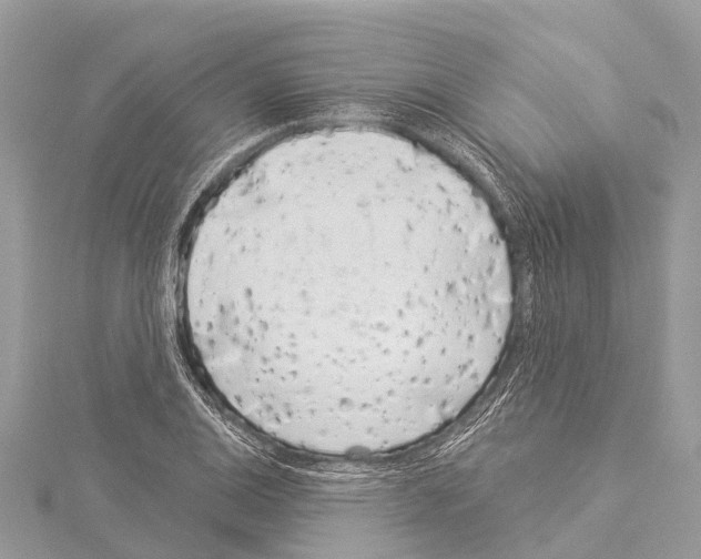 X0000114161124200911191219