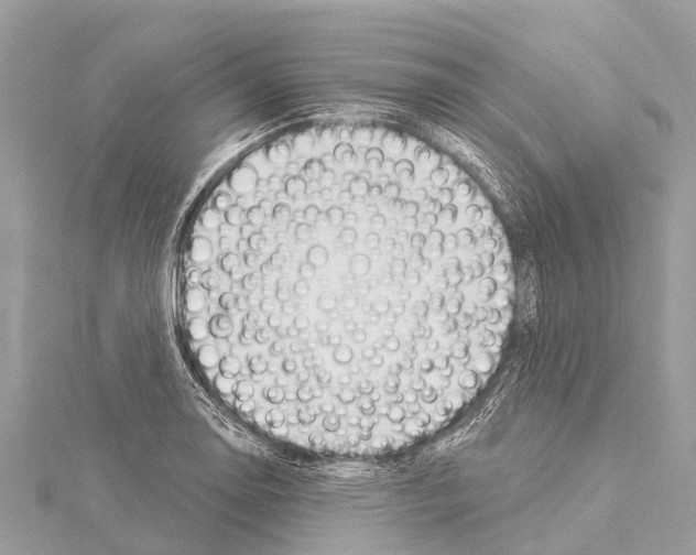 X0000114161130200911191220