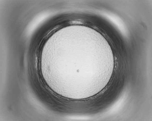 X0000114161151200911191220