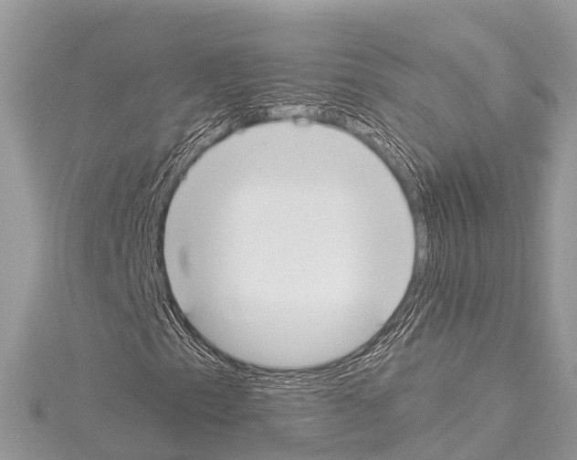 X0000114161153200911191219