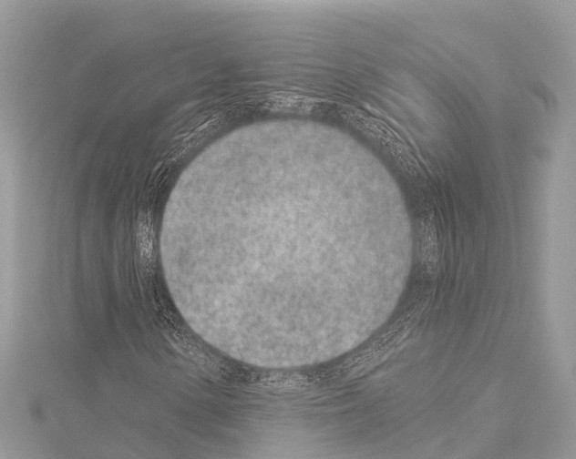 X0000114161154200911191219