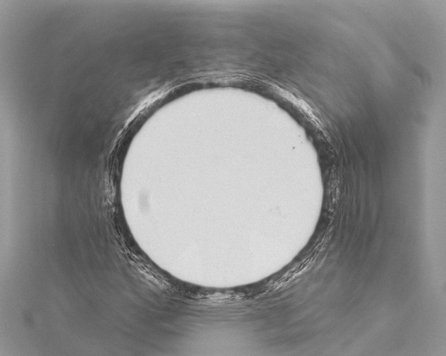 X0000114161160200911191219