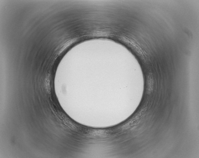 X0000114161162200911191219