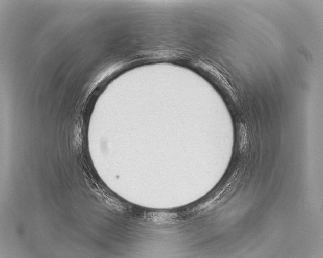 X0000114161163200911191219