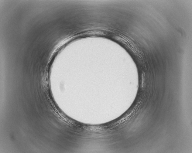 X0000114161164200911191219