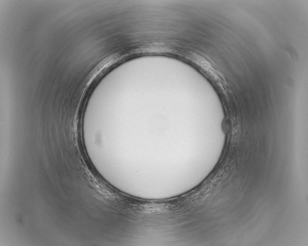 X0000114161181200911191219