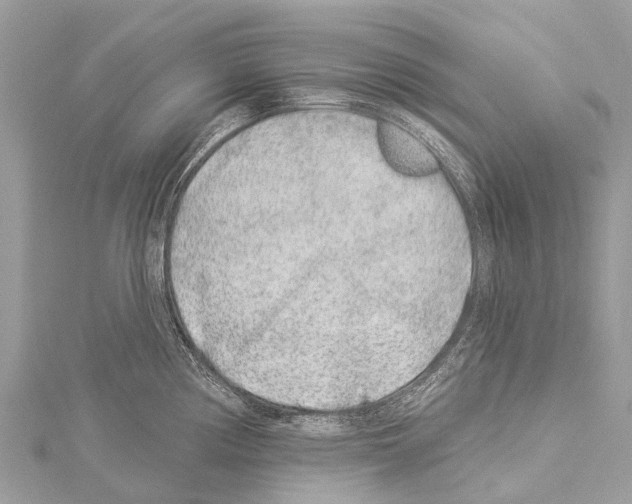 X0000114161194200911191219