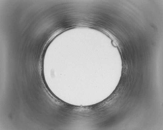 X0000114161195200911191219