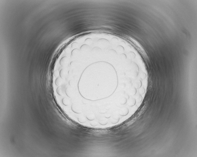 X0000114161196200911191219