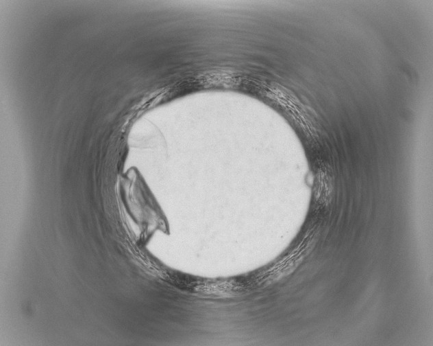 X0000114161201200911191218