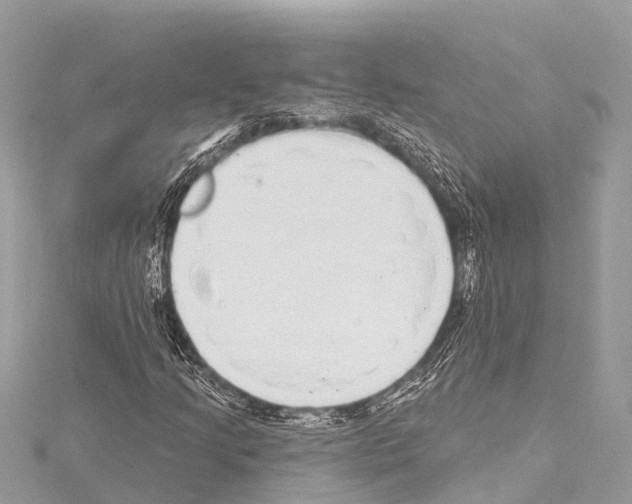 X0000114161205200911191218