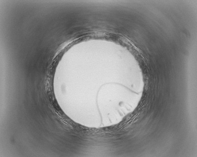 X0000114161208200911191218