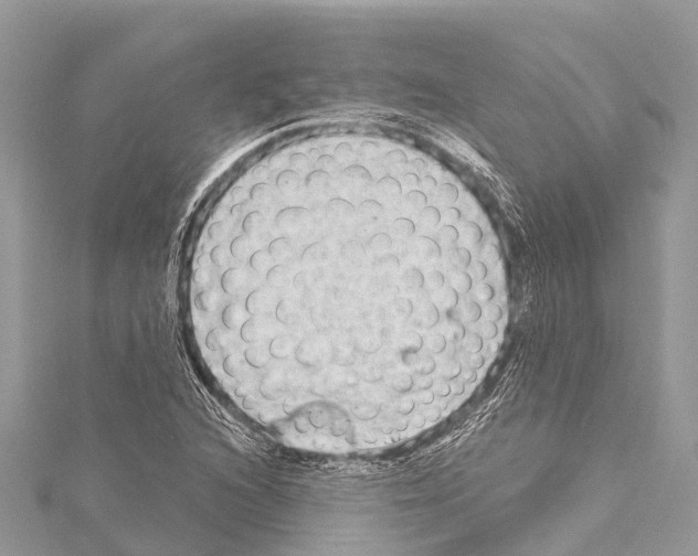 X0000114161216200911191218