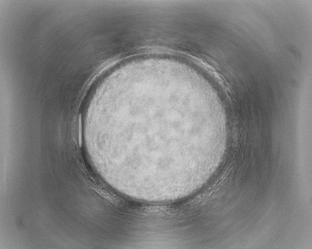 X0000114161223200911191218