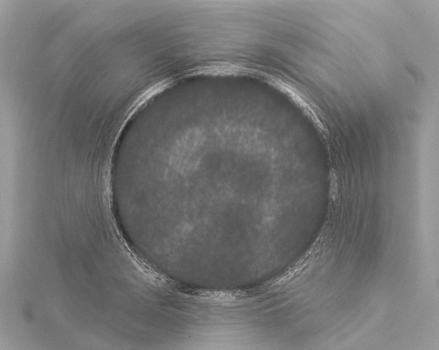 X0000114161229200911191218