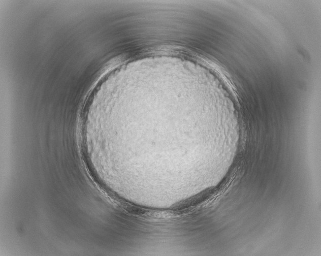 X0000114161235200911191218