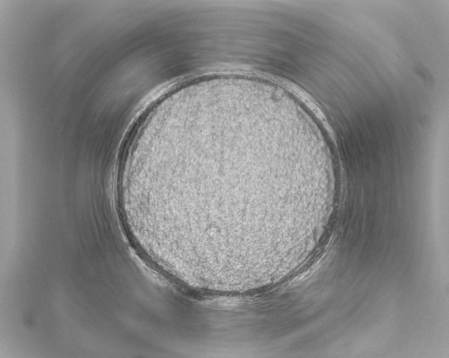 X0000114161245200911191219