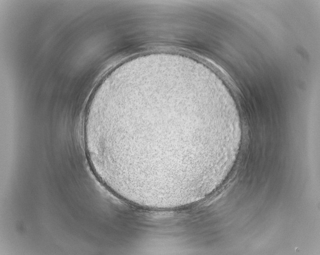 X0000114161247200911191219