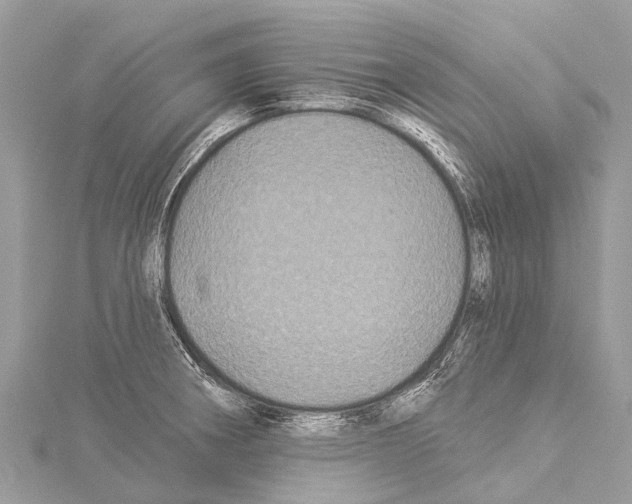 X0000114161282200911191218