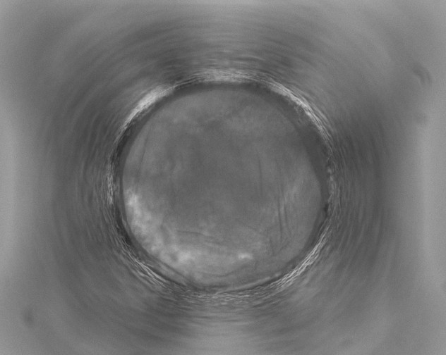 X0000114161306200911191217