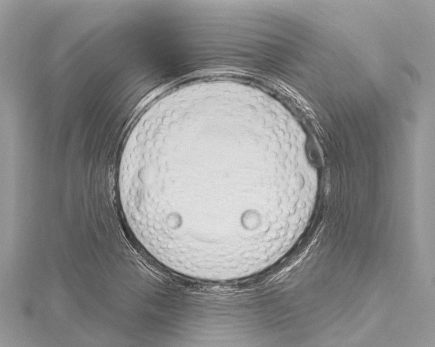 X0000114161321200911191217