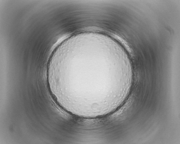 X0000114161322200911191217