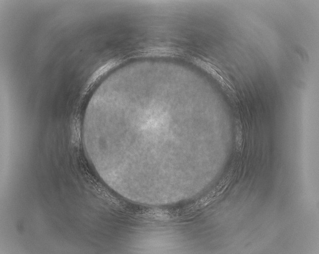X0000114161358200911191217