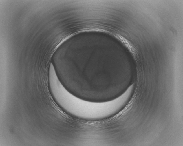 X0000114161369200911191216