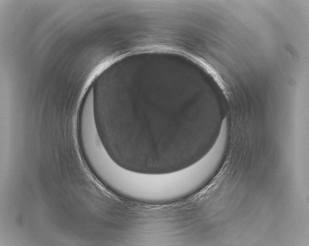 X0000114161373200911191216