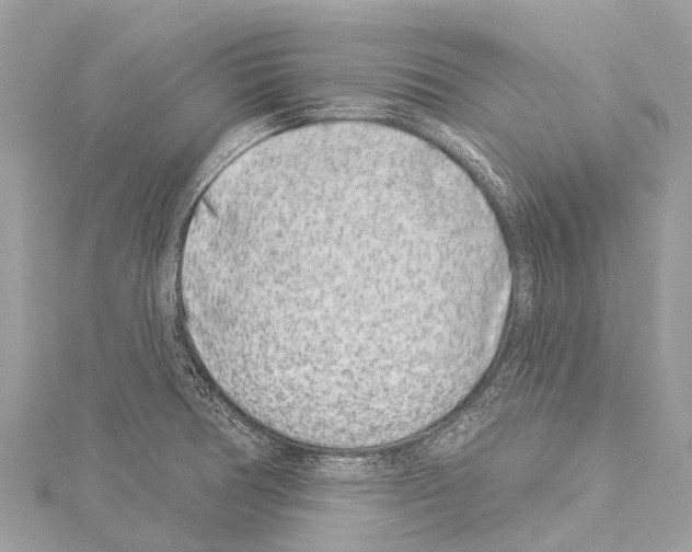 X0000114161378200911191216