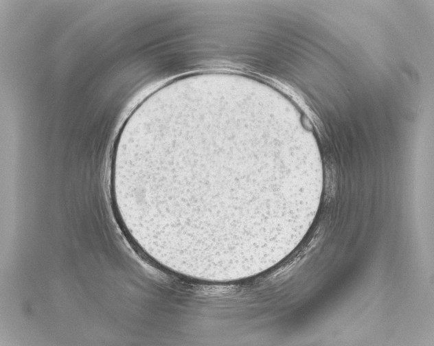 X0000114161387200911191216